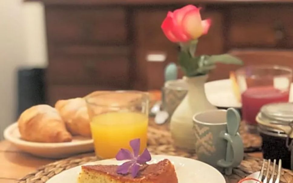 Comida Foto