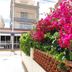 Vista del exterior