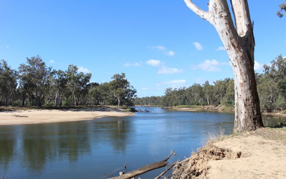Servicio del hotel Foto