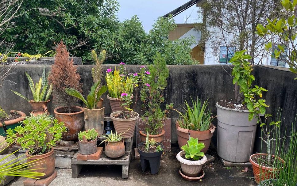 Patio Foto