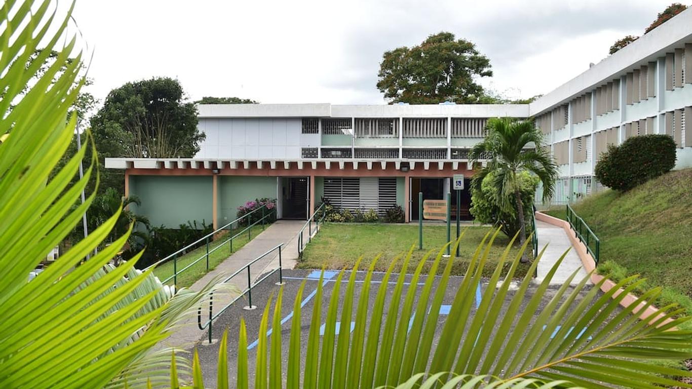 Imagen principal