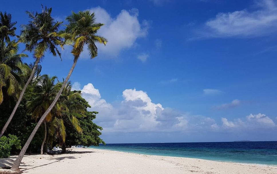 Playa Foto