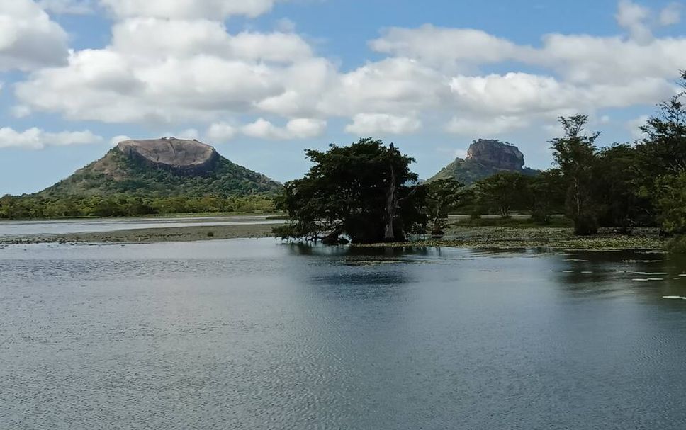 Otros Foto