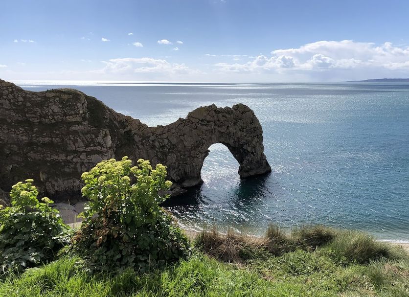 Otros Foto
