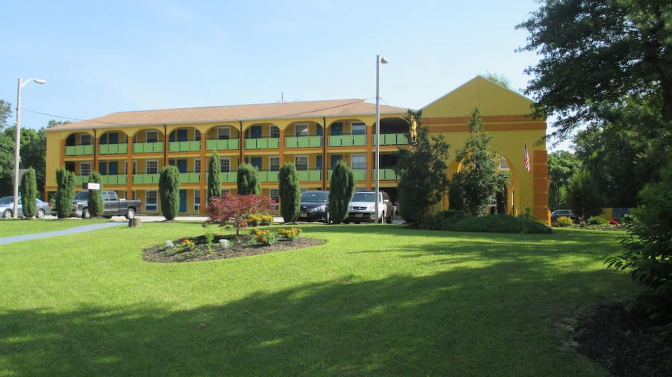 Imagen principal