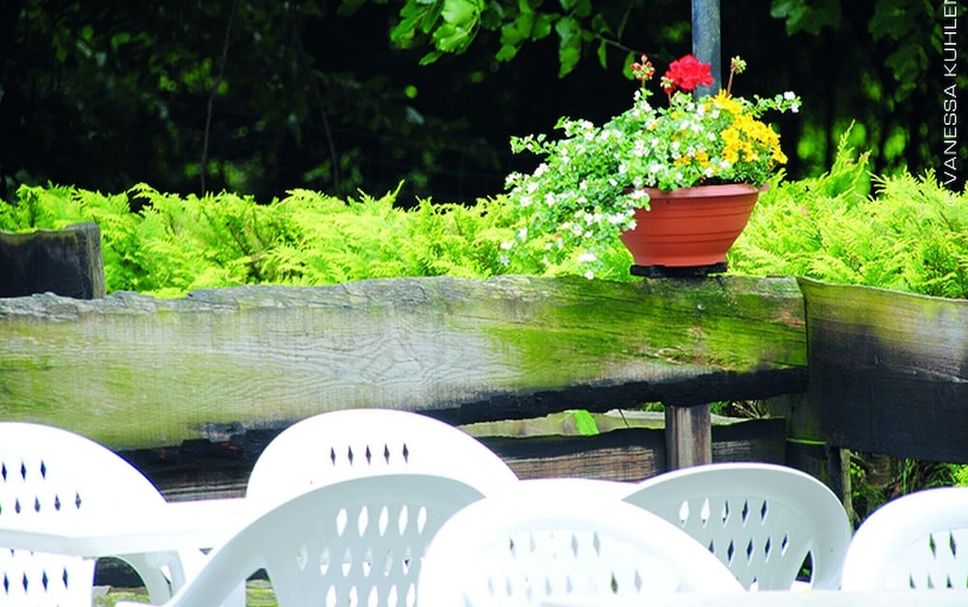 Patio Foto