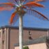 Vista del exterior