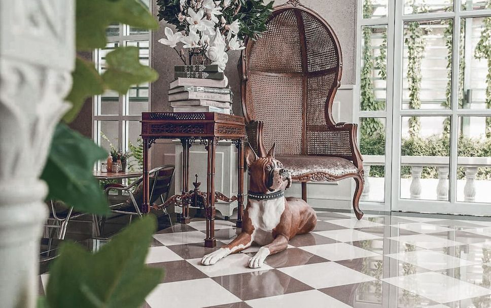 Lobby Foto
