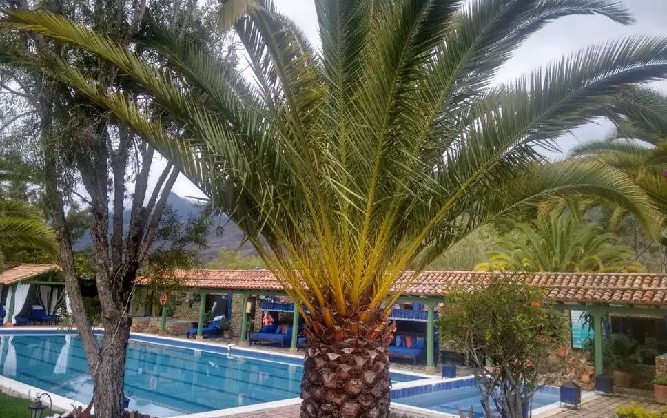 Piscina Foto