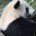 Otros