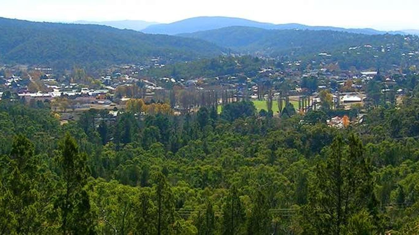 Imagen principal