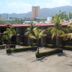 Vista del exterior