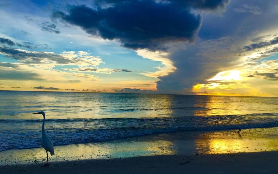 Playa Foto