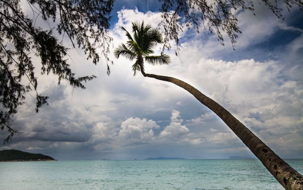 Playa Foto