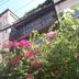 Vista del exterior