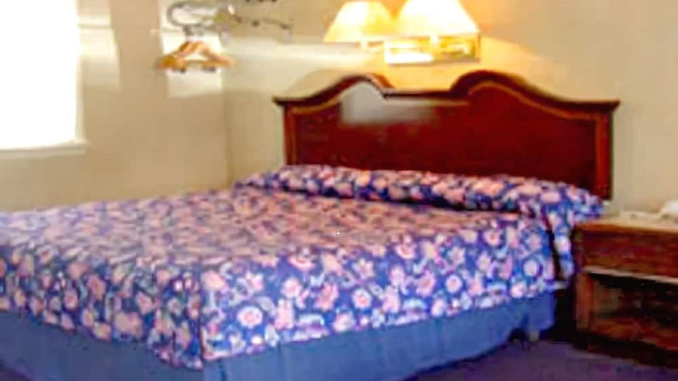 Imagen principal