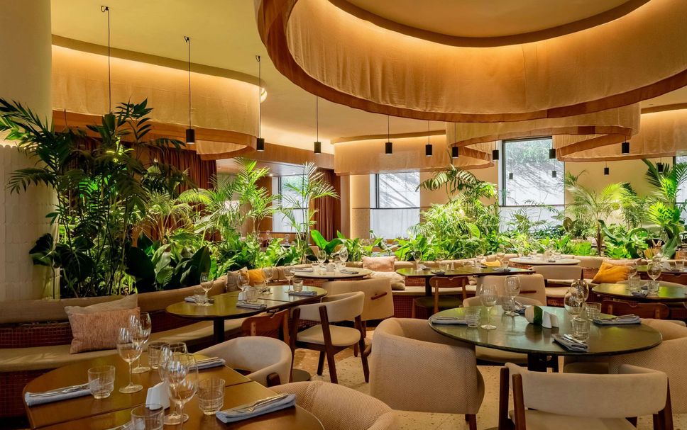 Restaurante Foto