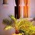 Vista del exterior