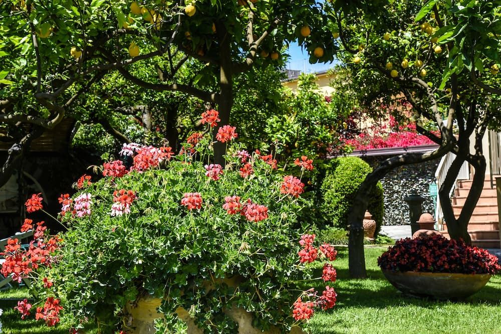 Vista del exterior