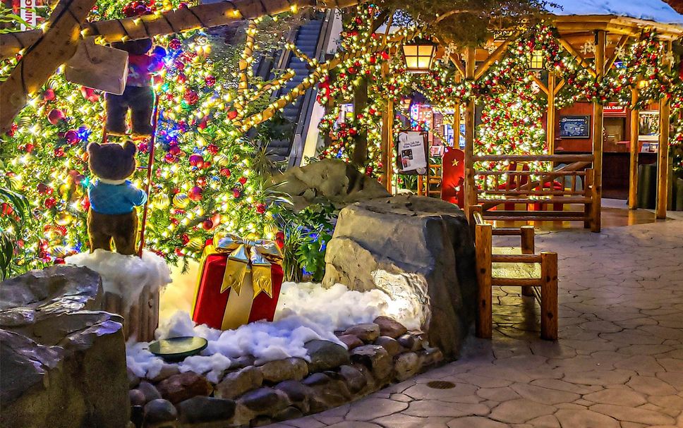 Otros Foto
