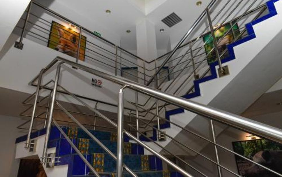 Escaleras Foto