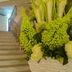 Escaleras