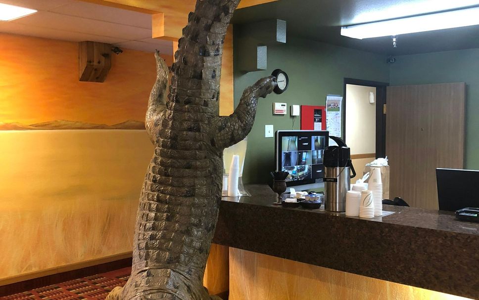 Lobby Foto