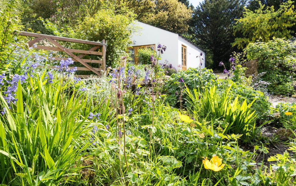 Vista del exterior Foto