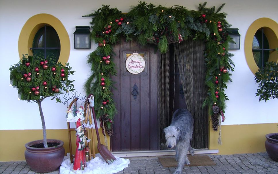 Servicio del hotel Foto