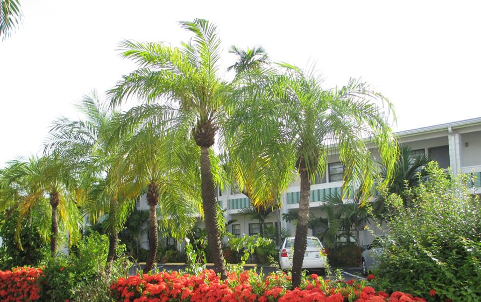 Vista del exterior Foto