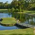 Campo de Golf